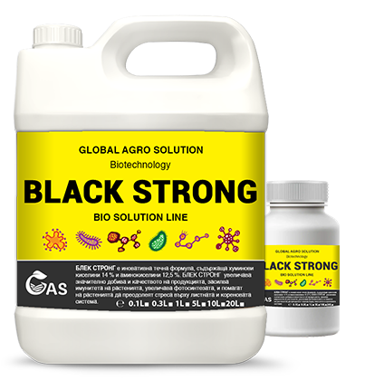 BLACK STRONG