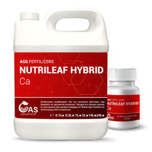 Ca-8, aminoacids-5