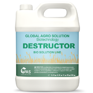 DESTRUCTOR