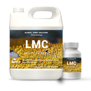 LMC
