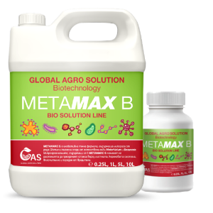 METAMAX B