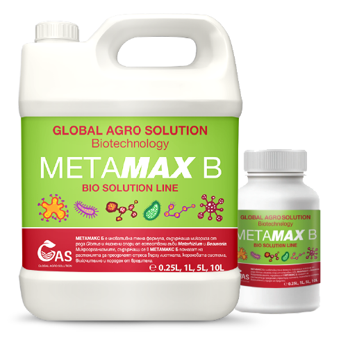 METAMAX B