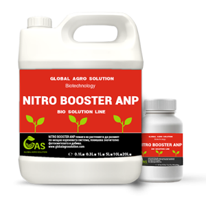 NITRO BOOSTER ANP