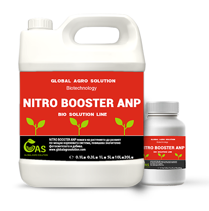 NITRO BOOSTER ANP
