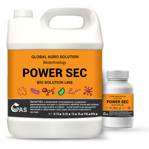 POWER SEC