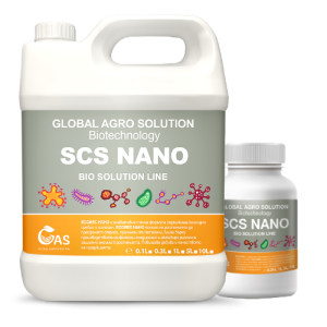 SCS NANO