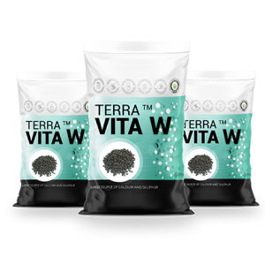 TERRA VITA W