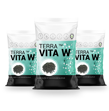 TERRA VITA W