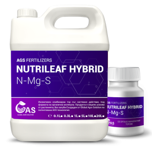 N-10, Mg-4, S-8, aminoacids-5